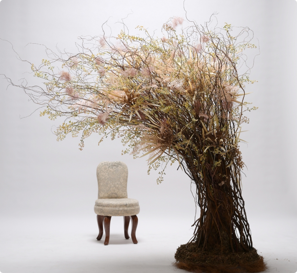 フォトスタジオイメージ5